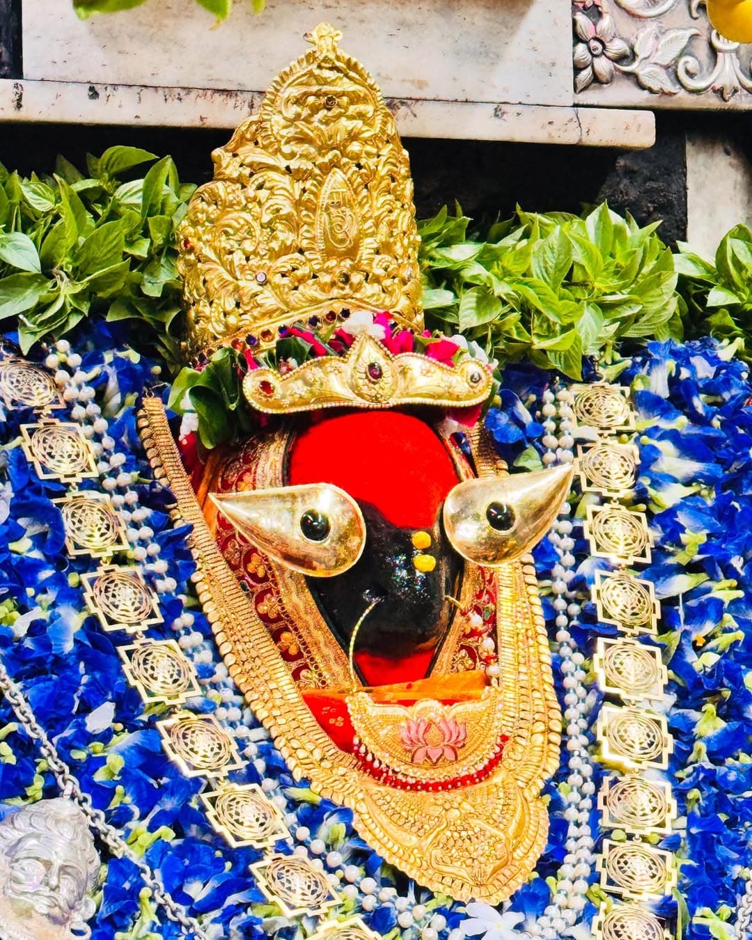 Vindhyachal Shaktipeeth Kyon Nahi Hai? Mystery of 'Na Bhuto Na Bhavishyati' by Shri Rajendra Das Ji Maharaj